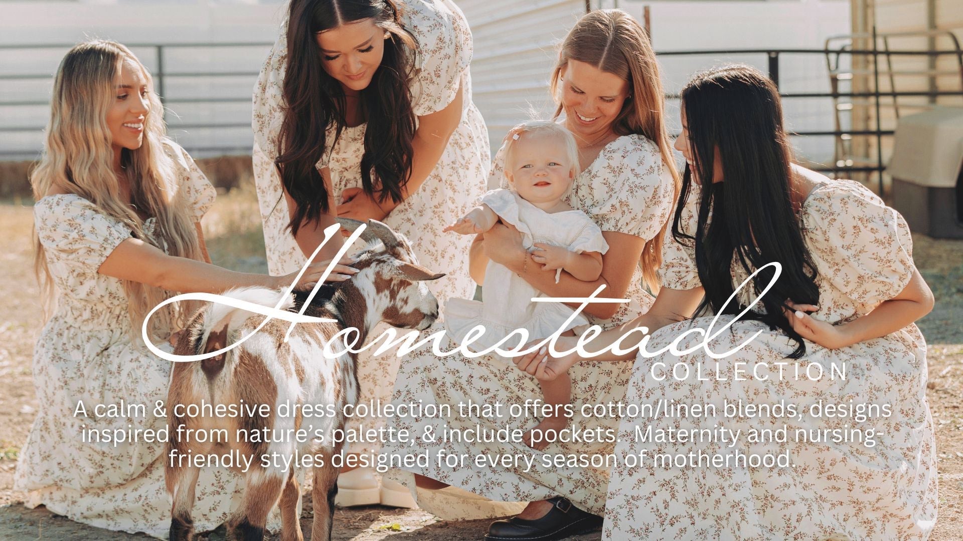 Homest – DM Fashion