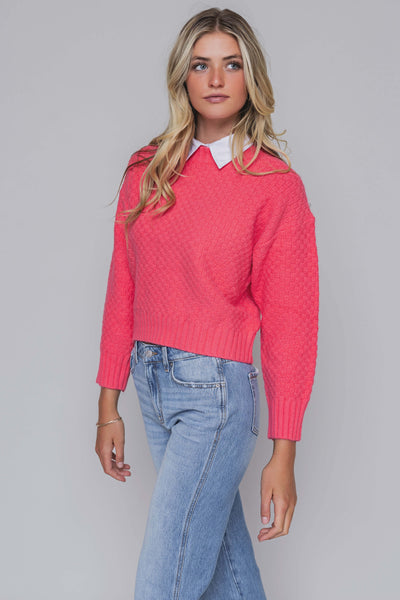 Button Collar Dickey
