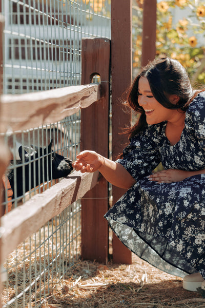 Clara Navy Meadow Dress - DM Exclusive - Maternity Friendly - Nursing Friendly