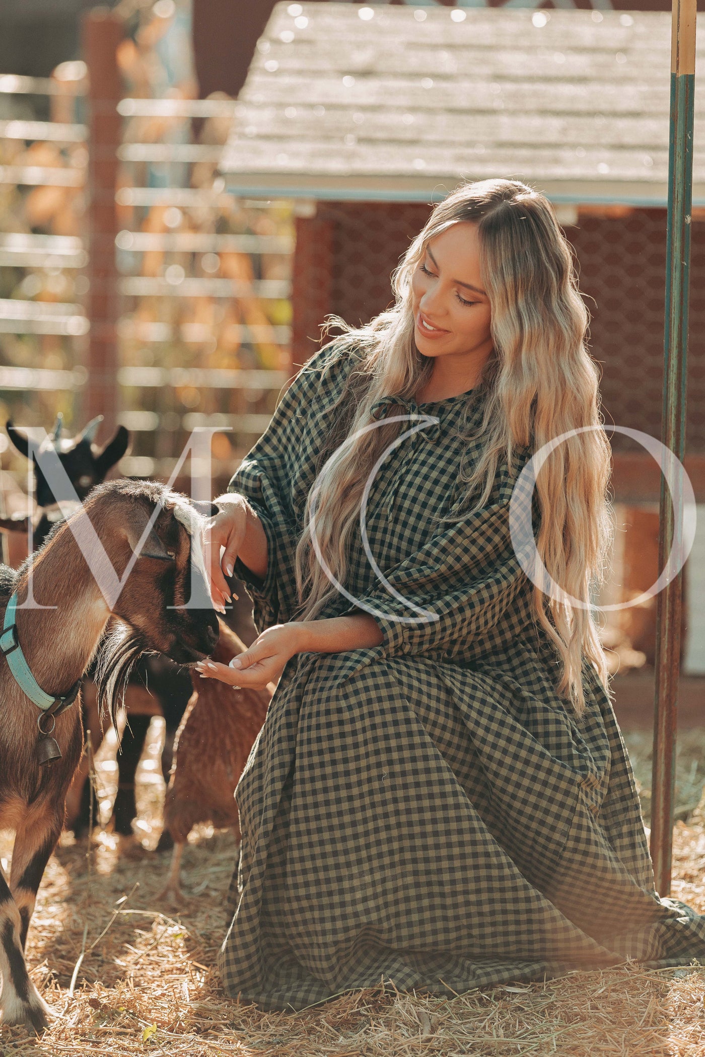 Alexa Olive Gingham Dress - MCO - Maternity Friendly