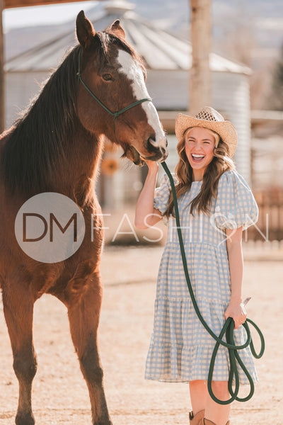 Hannah Jean Blue Gingham Dress - MCO