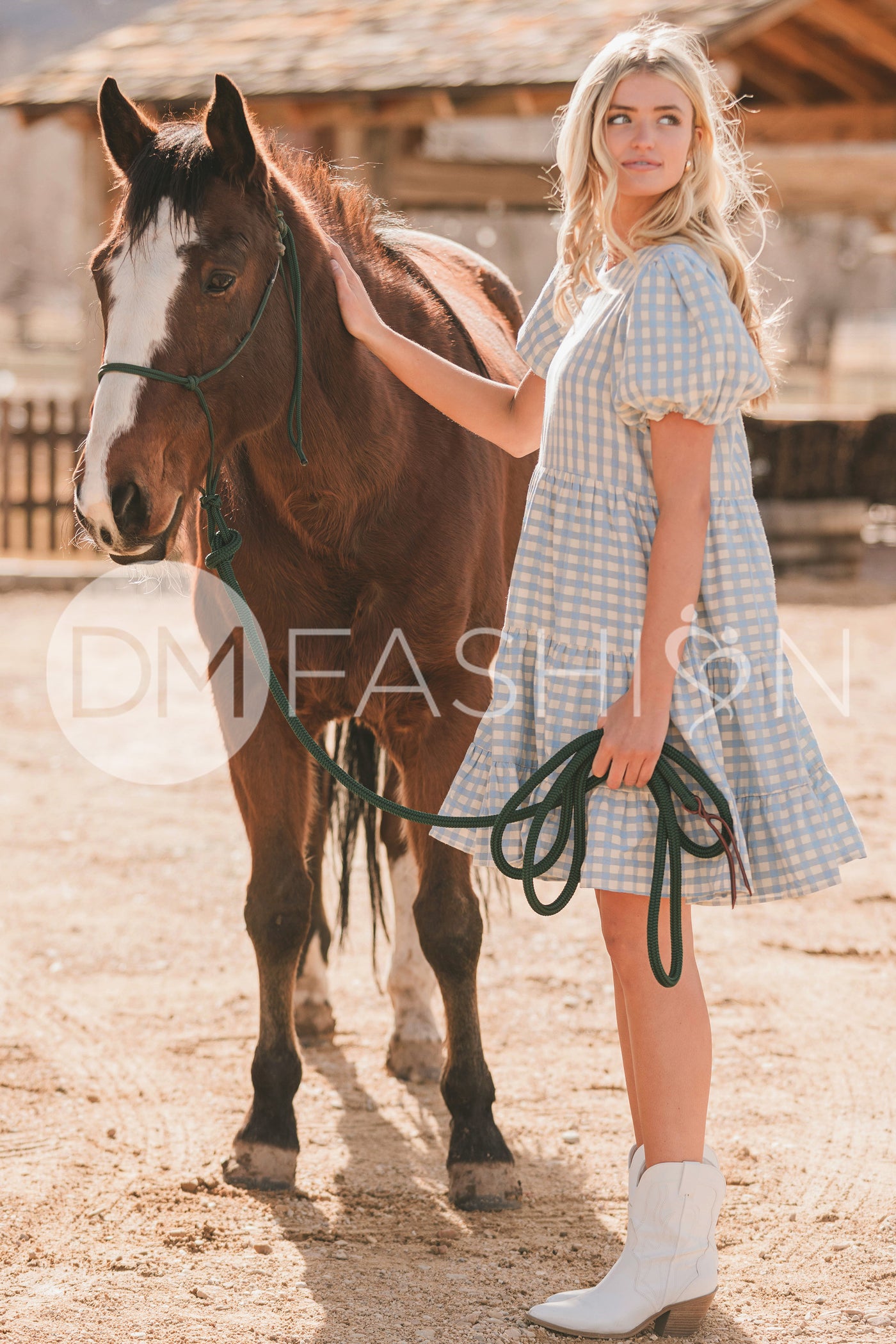 Hannah Jean Blue Gingham Dress - MCO