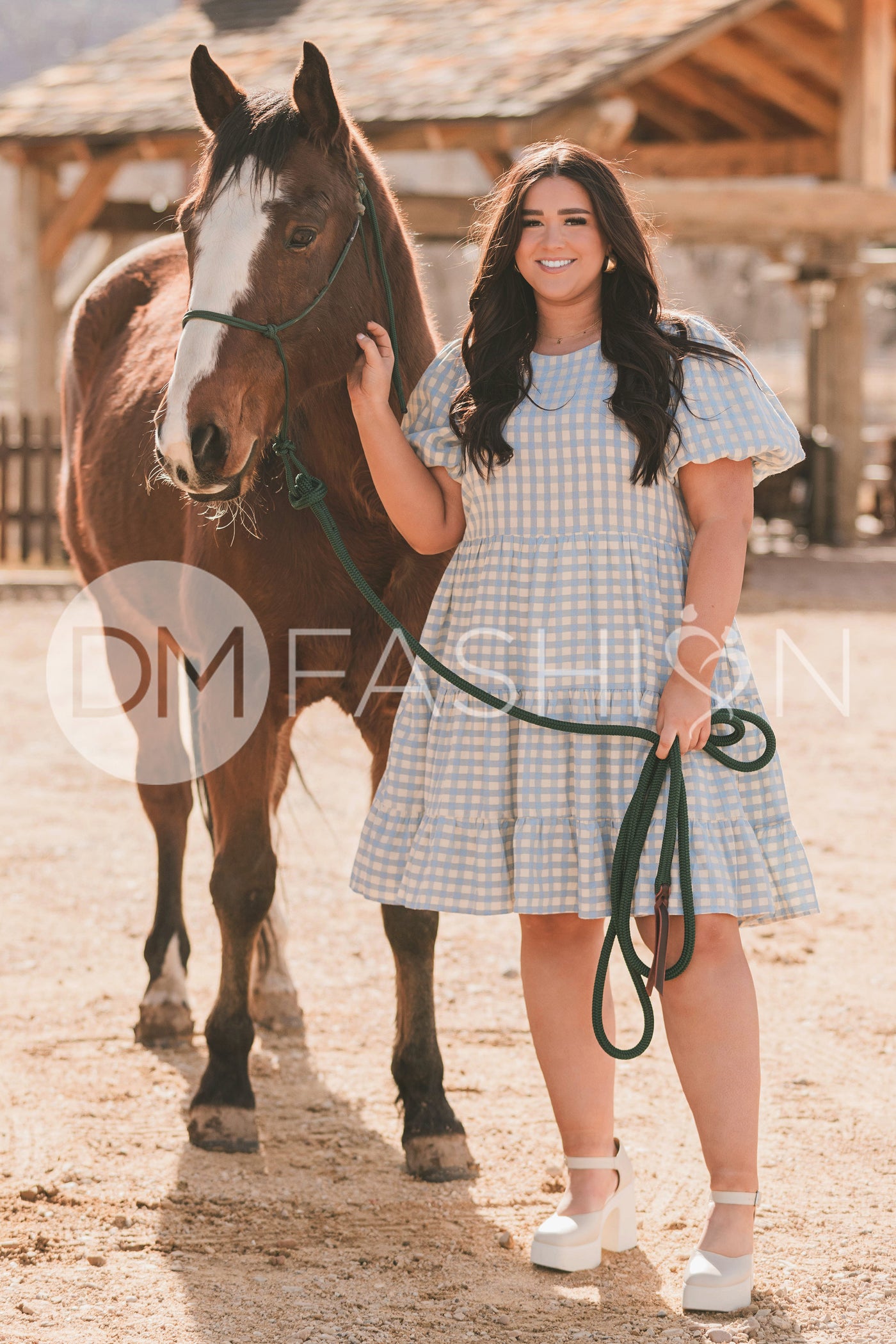 Hannah Jean Blue Gingham Dress - MCO