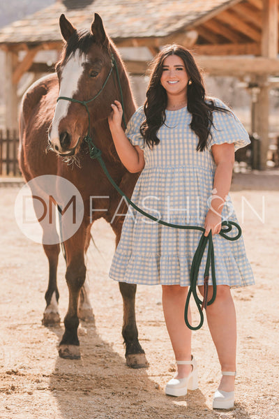 Hannah Jean Blue Gingham Dress - MCO