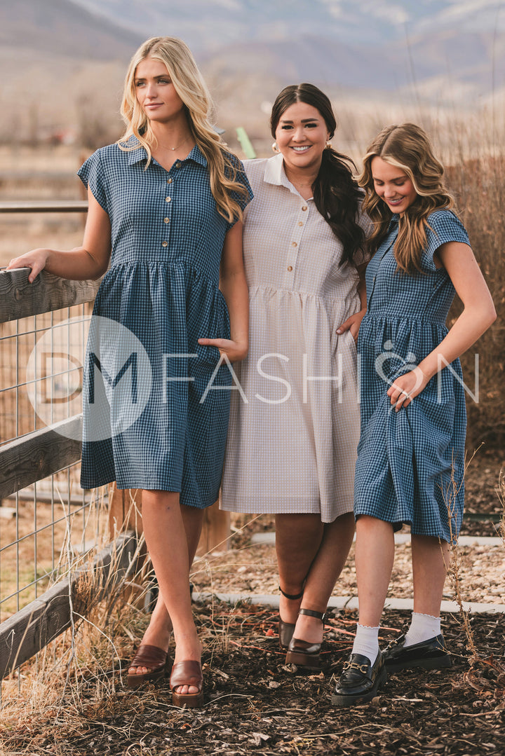 Sabrina Blue Dress - MCO - Nursing Friendly - Restocked - LOW
