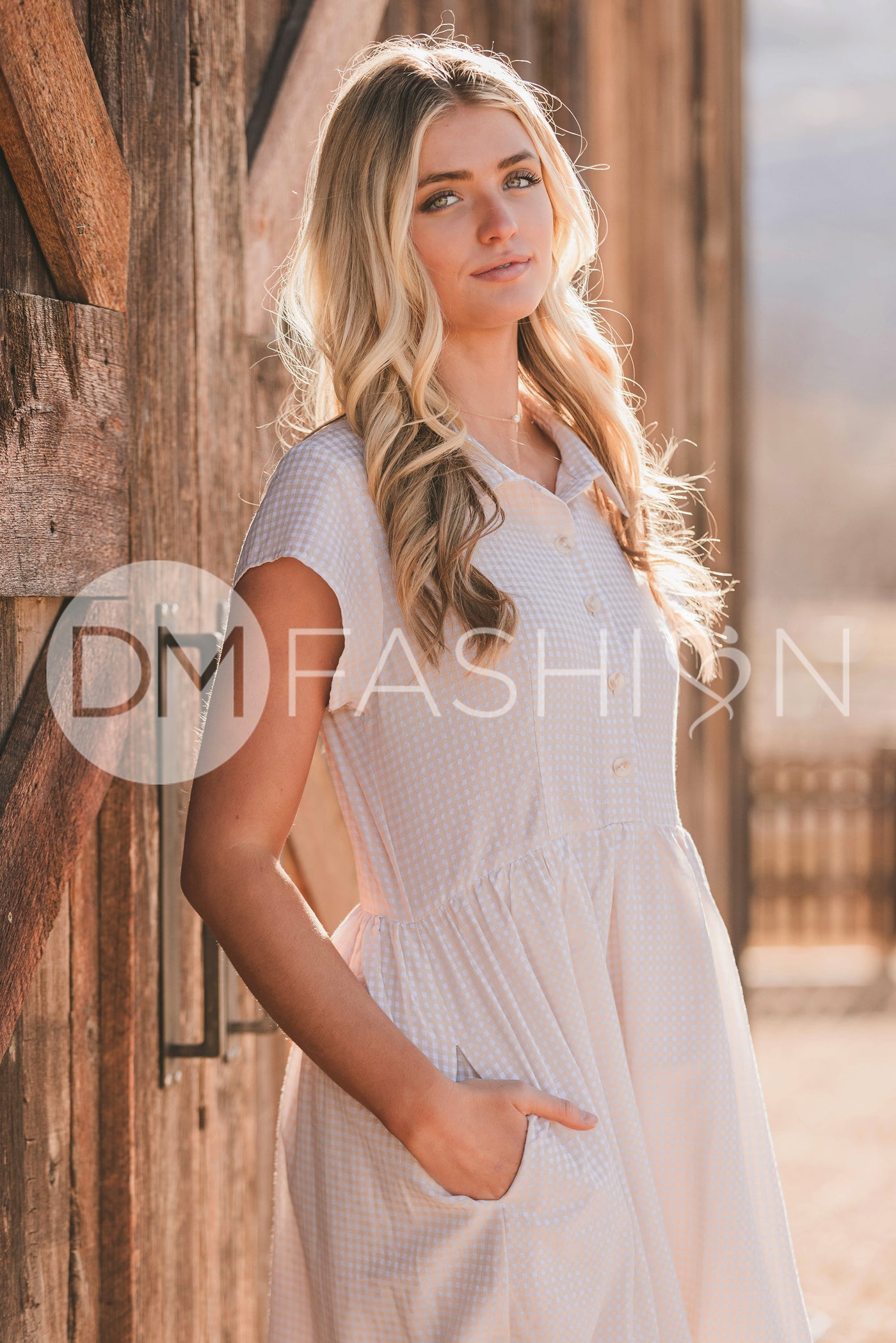 Sabrina Taupe Dress - MCO - Nursing Friendly DM Fashion Sabrina Taupe Dress - MCO - Nursing Friendly DM Fashion