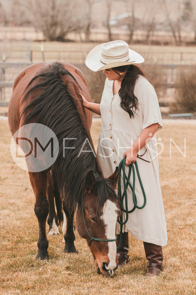 Robin Oatmeal Linen Dress - DM Exclusive - Maternity Friendly - Nursing Friendly