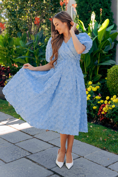 Briar Rose Princess Blue Dress - DM Exclusive