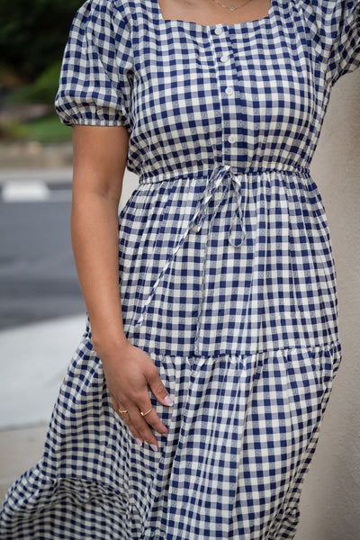 Summer Days Gingham Swiss Dot Dress