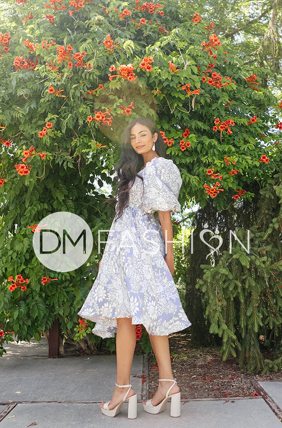 Bella Dream Blue Dress - DM Exclusive - Maternity Friendly