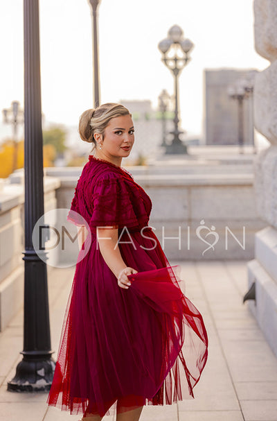 Celeste Burgundy Tulle Dress - DM Exclusive - Restocked